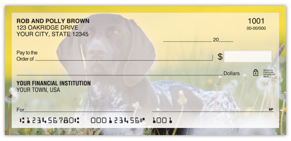 German Shorthair Pointer Checks