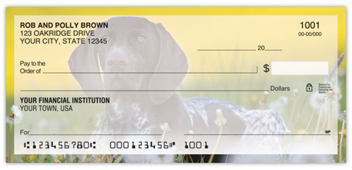 German Shorthair Pointer Checks