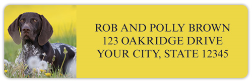 German Shorthair Pointer Address Labels