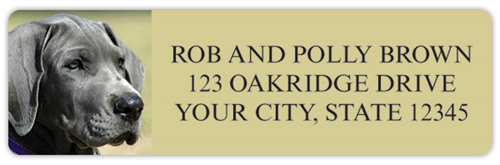 Great Dane Address Labels