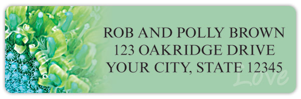 Inspirational Daisies Address Labels