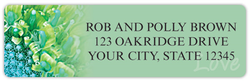 Inspirational Daisies Address Labels