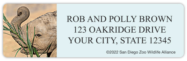 San Diego Zoo Elephants Address Labels