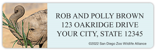 San Diego Zoo Elephants Address Labels