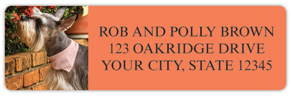 Schnauzer Address Labels