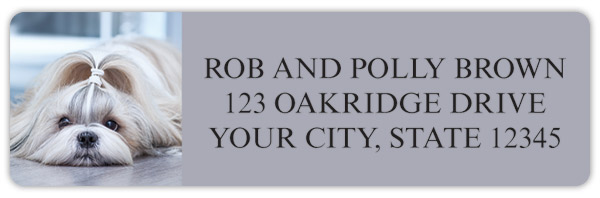 Shih-Tzu Address Labels