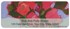 Artistic Blooms Address Labels Image 2