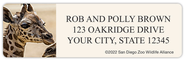 San Diego Zoo Giraffe Address Labels