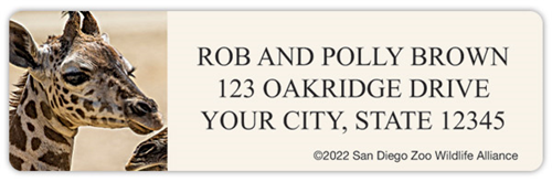 San Diego Zoo Giraffe Address Labels