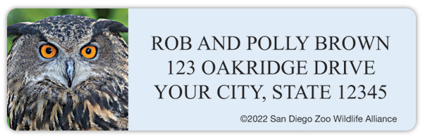 San Diego Zoo Owls Address Labels