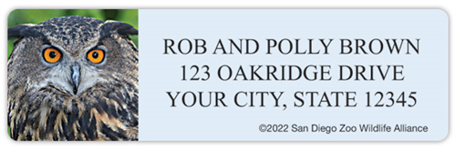 San Diego Zoo Owls Address Labels