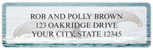 Whale Tails Address Labels