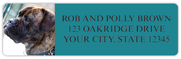 Mastiff Address Labels