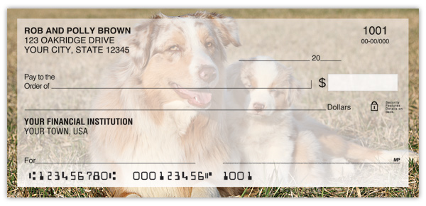 Australian Shepherd Checks
