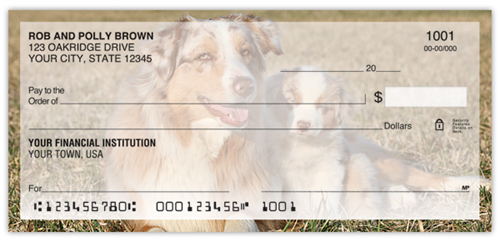 Australian Shepherd Checks