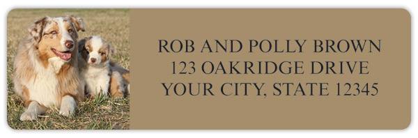 Australian Shepherd Address Labels