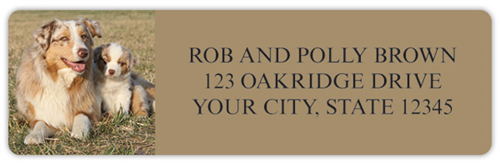 Australian Shepherd Address Labels