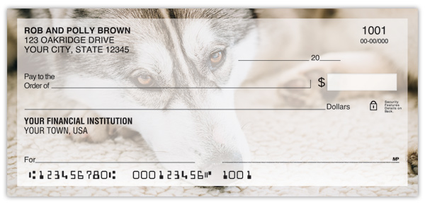 Siberian Husky Checks