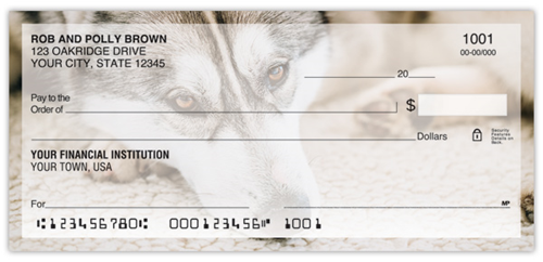 Siberian Husky Checks