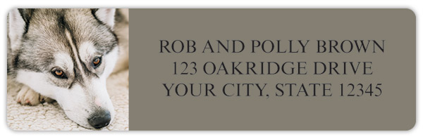 Siberian Husky Address Labels