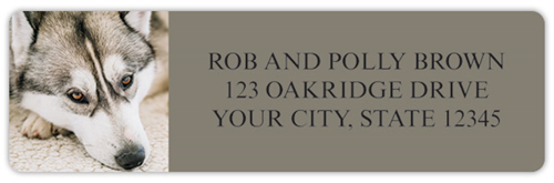 Siberian Husky Address Labels