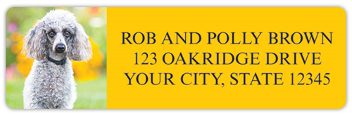 Poodles Address Labels