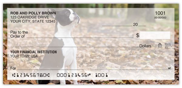 Boston Terrier Checks