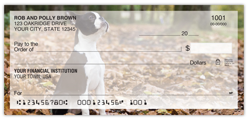 Boston Terrier Checks